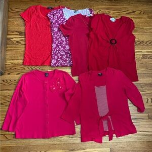 Collection of 6 Red and Pink Women’s Tops
Various sizes see list in description